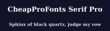 CheapProFonts Serif Pro by CheapProFonts — Serif Font — thumbnail 2