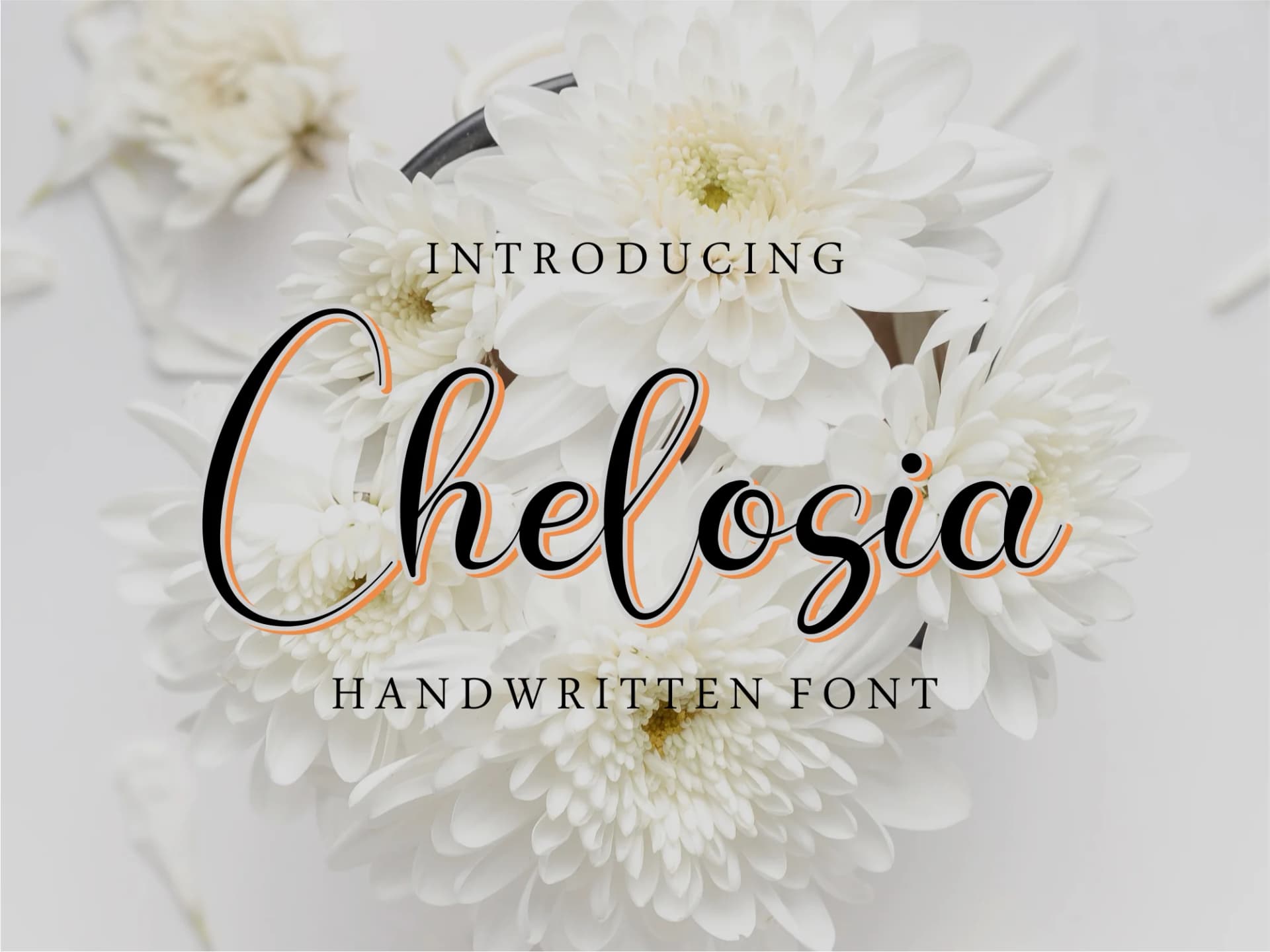 Chelosia Font by Bluestudio — Script Handwritten Font