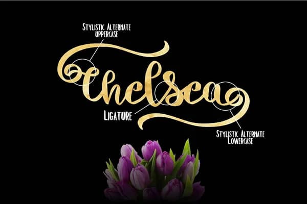 Chelsea Font by Debut Studio — Script Handwritten Font
