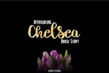 Chelsea Font by Debut Studio — Script Handwritten Font — thumbnail 6