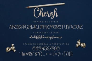 Cherish Script Font by Vilogsign — Script Handwritten Font — thumbnail 5