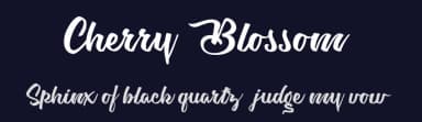 Cherry Blossom by Billy Argel Fonts ® — Script Handwritten Font — thumbnail 2