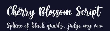 Cherry Blossom Script by Zeenesia Studio — Script Handwritten Font — thumbnail 2