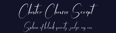 Chester Chesire Script by PutraCetol Studio — Script Handwritten Font — thumbnail 2