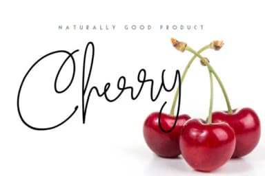 Chesterville Font by InDhika — Script Handwritten Font — thumbnail 4