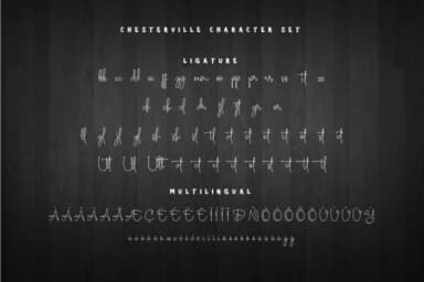 Chesterville Font by InDhika — Script Handwritten Font — thumbnail 7