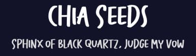 Chia Seeds by peterdraw — Script Handwritten Font — thumbnail 2