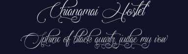 Chiangmai Hostel by Typhoon Type - Suthi Srisopha — Script Handwritten Font — thumbnail 2