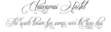 Chiangmai Hostel by Typhoon Type - Suthi Srisopha — Script Handwritten Font — thumbnail 1