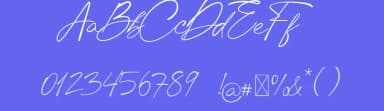 Chic Budapest by UI Creative — Script Handwritten Font — thumbnail 3