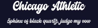 Chicago Athletic by Blankids — Script Handwritten Font — thumbnail 2