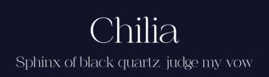 Chilia by Craft Supply Co. — Serif Font — thumbnail 2