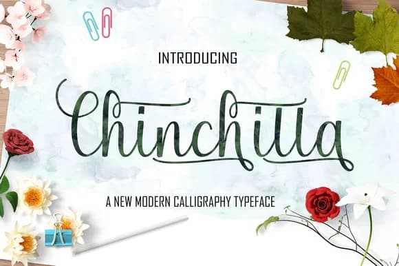 Chinchilla Font by JoeeCreative by JoeeCreative — Script Handwritten Font
