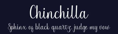 Chinchilla by JoeCreative — Script Handwritten Font — thumbnail 2