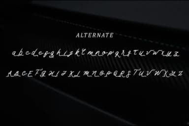 Chinmi Script Font by VitaminRGB — Script Handwritten Font — thumbnail 7