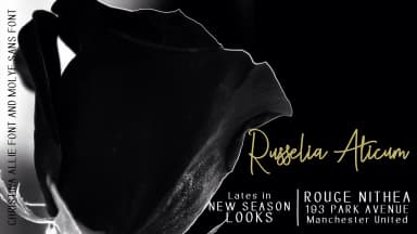 Christina Allie Font by zulkhairilettering — Script Handwritten Font — thumbnail 5