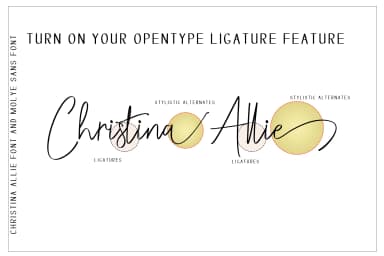Christina Allie Font by zulkhairilettering — Script Handwritten Font — thumbnail 6
