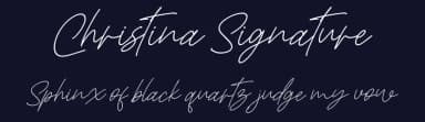 Christina Signature by Letterena Studios — Script Handwritten Font — thumbnail 2