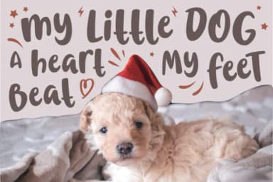 Chrisye Font by Keithzo (7NTypes) — Script Handwritten Font — thumbnail 3