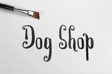 Chrysantin Font by Royaltype — Script Handwritten Font — thumbnail 3