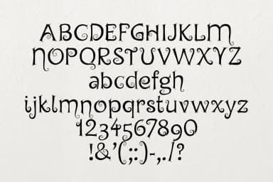 Chyga Font by Digital Typeface Studio — Script Handwritten Font — thumbnail 2