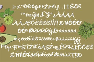 Cilantro Leaf Font by Illustration Ink — Script Handwritten Font — thumbnail 7