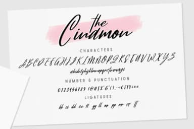 Cinamon Font by AMSUPPLY — Script Handwritten Font — thumbnail 5