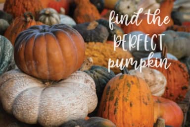 Cinnamon Sugar Script Font by jordynalisondesigns — Script Handwritten Font — thumbnail 2