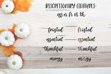 Cinnamon Sugar Script Font by jordynalisondesigns — Script Handwritten Font — thumbnail 8