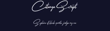 Citanya Script by Colative Studio — Script Handwritten Font — thumbnail 2