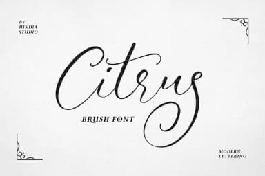 Citrus Font by Hindia Studio — Script Handwritten Font — thumbnail 1
