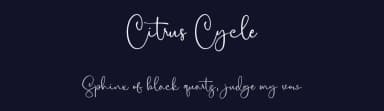 Citrus Cycle by Maulana Creative — Script Handwritten Font — thumbnail 2