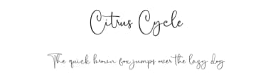 Citrus Cycle by Maulana Creative — Script Handwritten Font — thumbnail 1