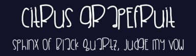 Citrus Grapefruit by Des Gomez — Script Handwritten Font — thumbnail 2