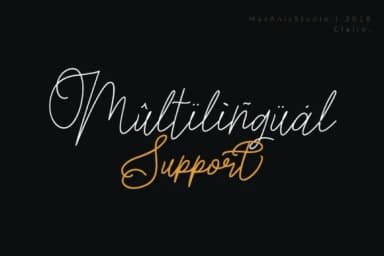 Claire Script Font by Mas Anis — Script Handwritten Font — thumbnail 7