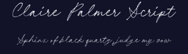 Claire Palmer Script by Letterhend Studio — Script Handwritten Font — thumbnail 2