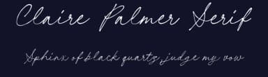Claire Palmer Serif by Letterhend Studio — Serif Font — thumbnail 2