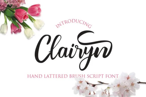 Clairyn Font by Minimal Movement — Script Handwritten Font