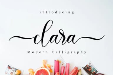 Clara Font by NissaStudio — Script Handwritten Font — thumbnail 1
