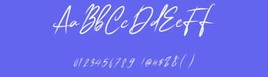 Classic Signature by Elbanadha Creative — Script Handwritten Font — thumbnail 3