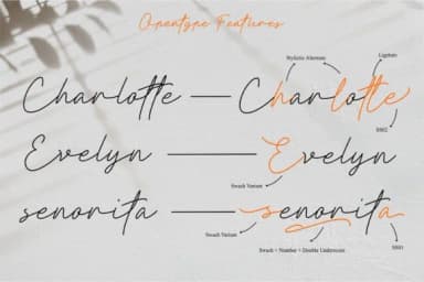 Clathyn Keith Signature Font by Hanaksara Studio — Script Handwritten Font — thumbnail 4