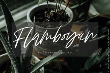 Claude Family Font by Geranium.co — Script Handwritten Font — thumbnail 9