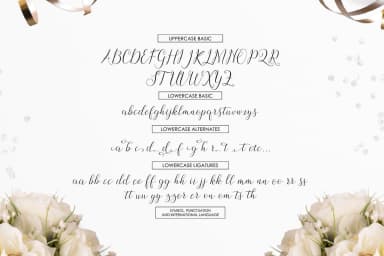 Claudette Font by Picatype Studio — Script Handwritten Font — thumbnail 6