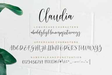 Claudia Font by nowlystudios by nowlystudios — Script Handwritten Font — thumbnail 8