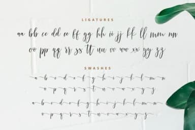 Claudia Font by nowlystudios by nowlystudios — Script Handwritten Font — thumbnail 9