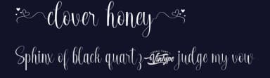 Clover Honey by VinType — Script Handwritten Font — thumbnail 2
