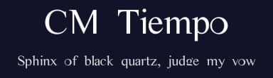 CM Tiempo by Charly Masci — Serif Font — thumbnail 2