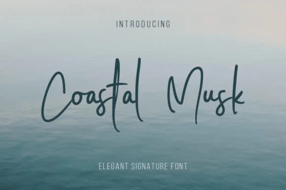 Coastal Musk Font by Avotype — Script Handwritten Font
