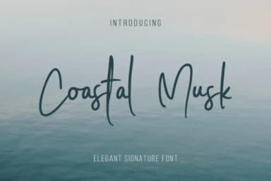 Coastal Musk Font by Avotype — Script Handwritten Font — thumbnail 1