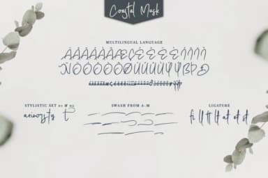 Coastal Musk Font by Avotype — Script Handwritten Font — thumbnail 5